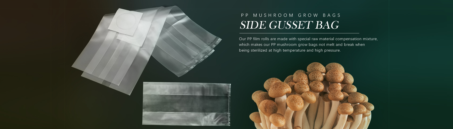 Pabrik Penjualan Langsung Side Gusset Bag Produsen dan Pemasok